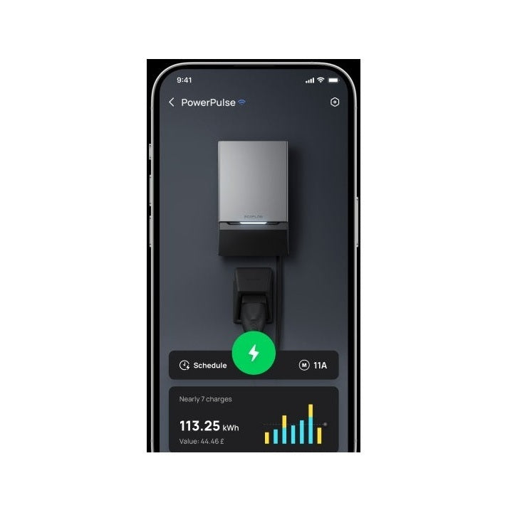 EcoFlow Powerpulse 2 11kW